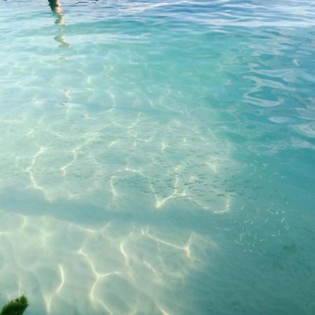 Hidden Island Glamping Isla Mujeres Otel Dış mekan fotoğraf